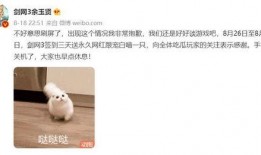 打脸吃瓜小说全文阅读免费,逆袭人生，笑傲江湖